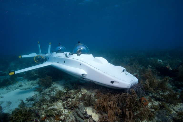 Submarine on the coral reef