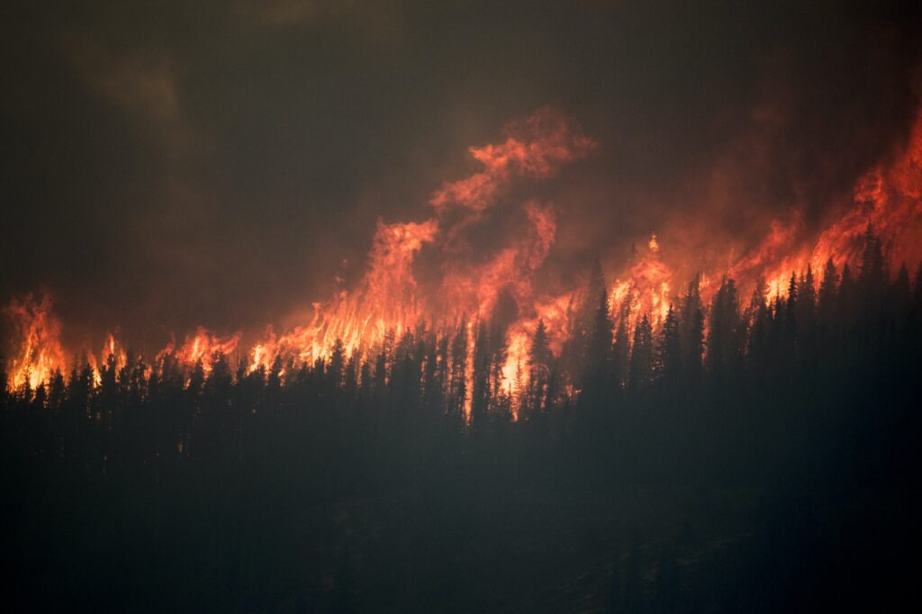 A wildfire engulfs the Chetamon region in the Canadian Rocky Mountains