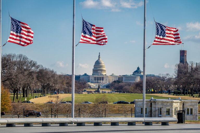 American Flags with US Capitol on background - Washington, D.C., USA