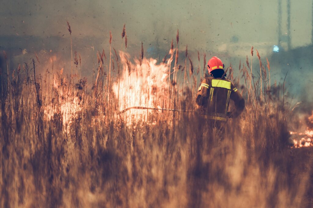 Bush Wildfire Fighting