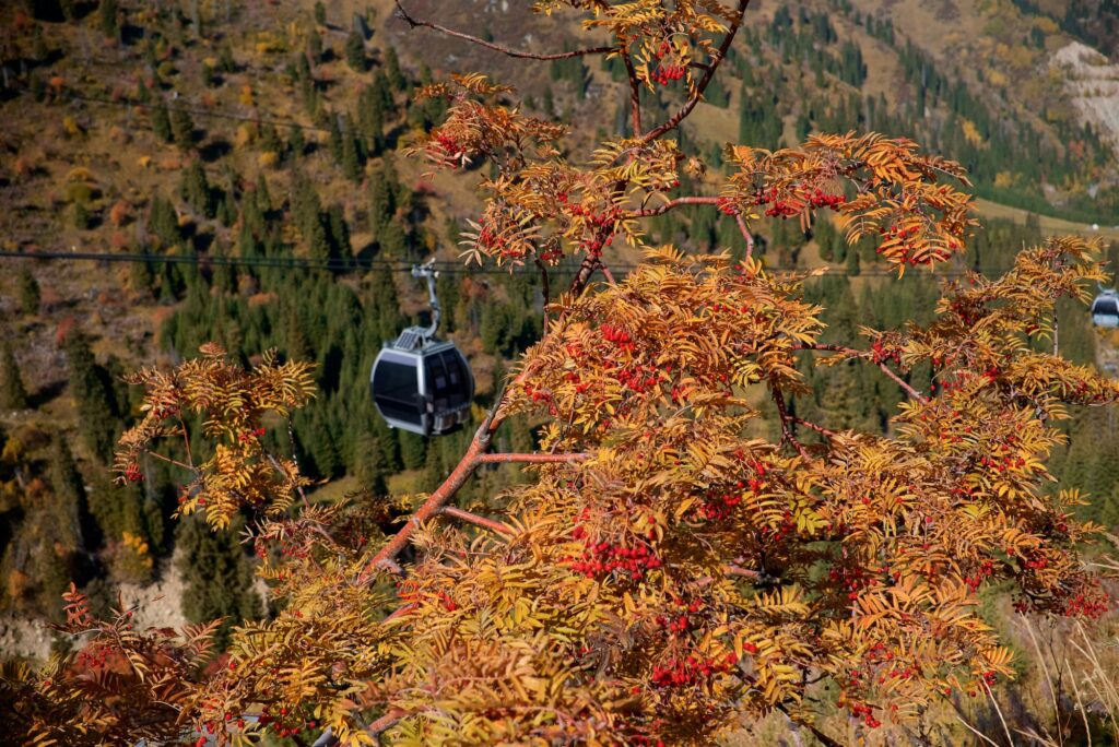 Cable car in the mountains of Almaty