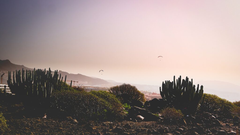 Paragliding on Tenerife Canary island