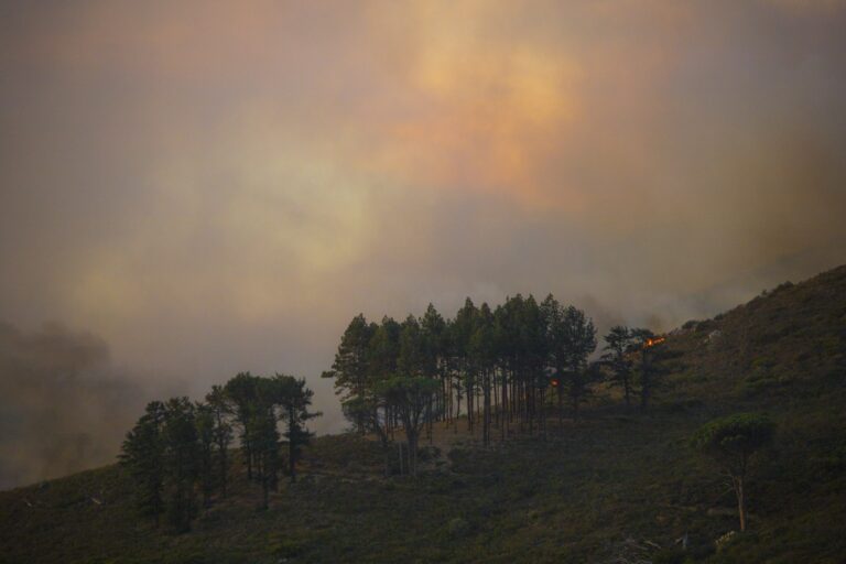 Wildfire mountain