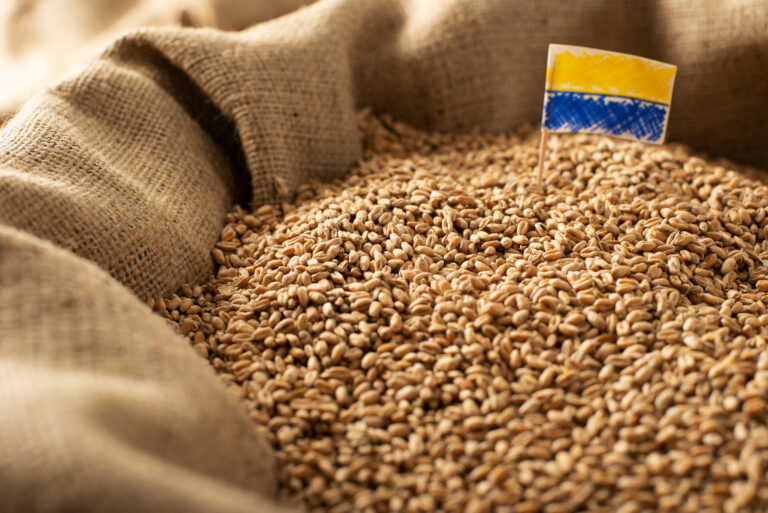 Burlap sack with wheat grains and Ukrainian flag concept