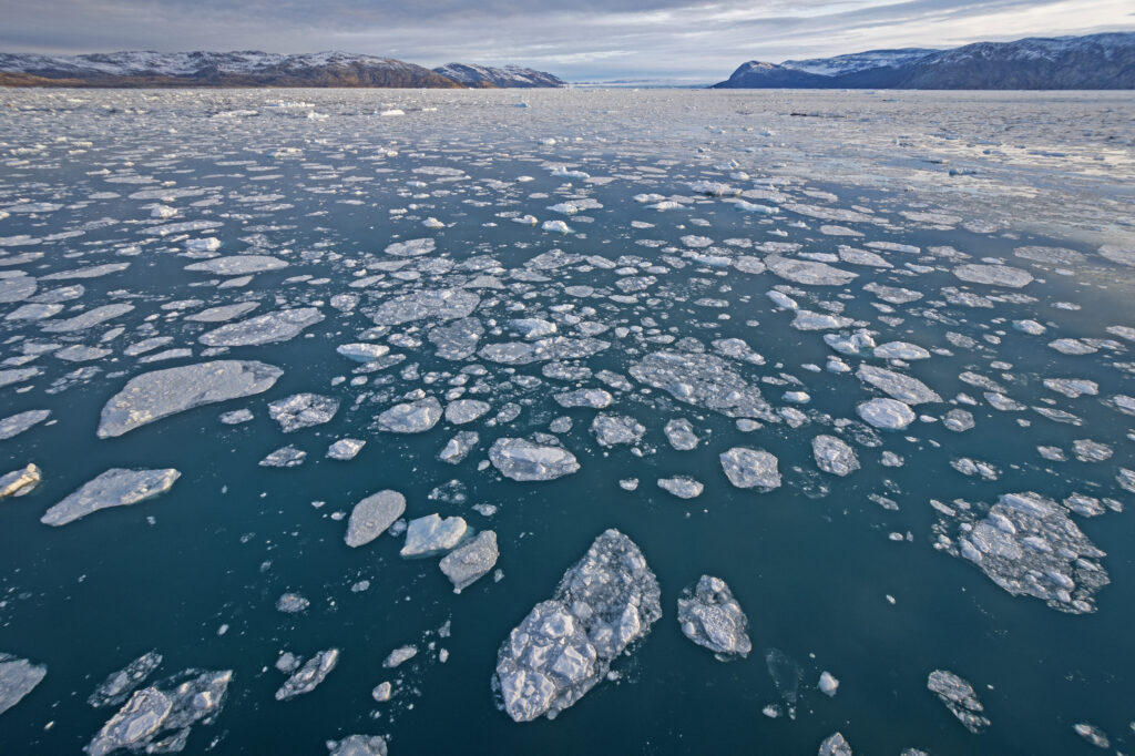 Sea Ice in a Glacial Fjord