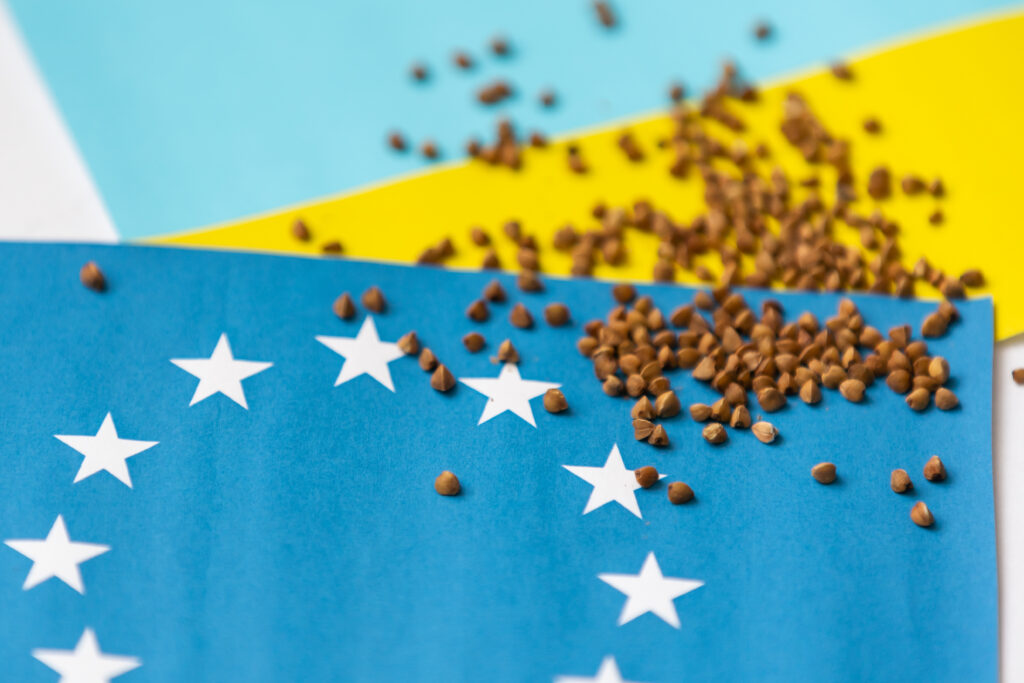 The concept of Ukrainian grain export to the EU countries. Flag of Ukraine and the European Union on