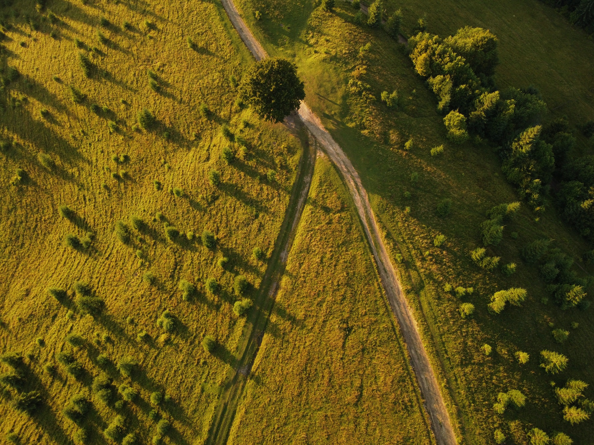 Aerial view of beautiful mountain Carpathians, Ukraine in sunlight. Drone filmed an landscape