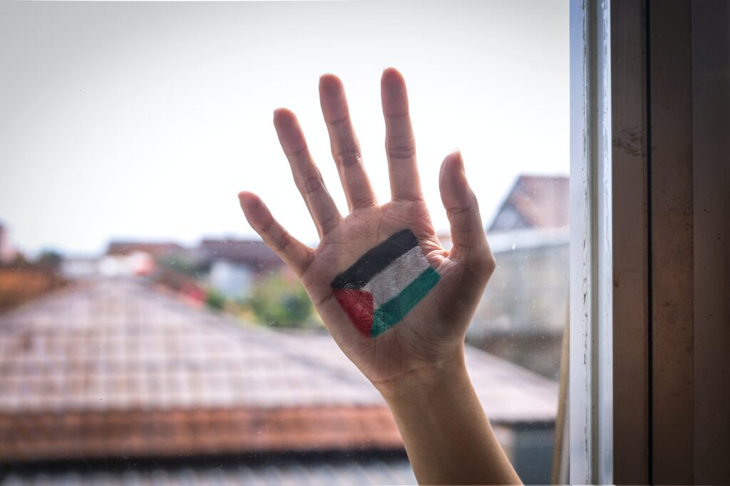 Palestine Flag Painted on Palms