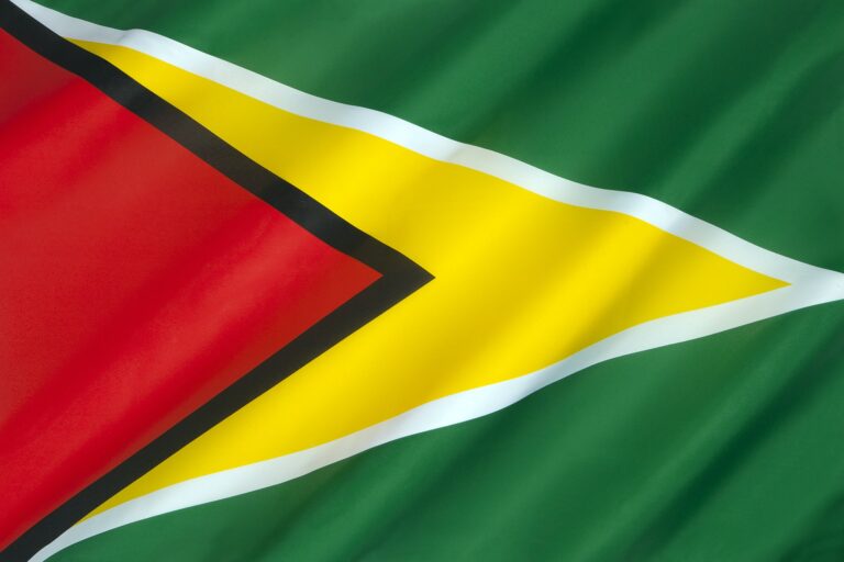 Flag of Guyana