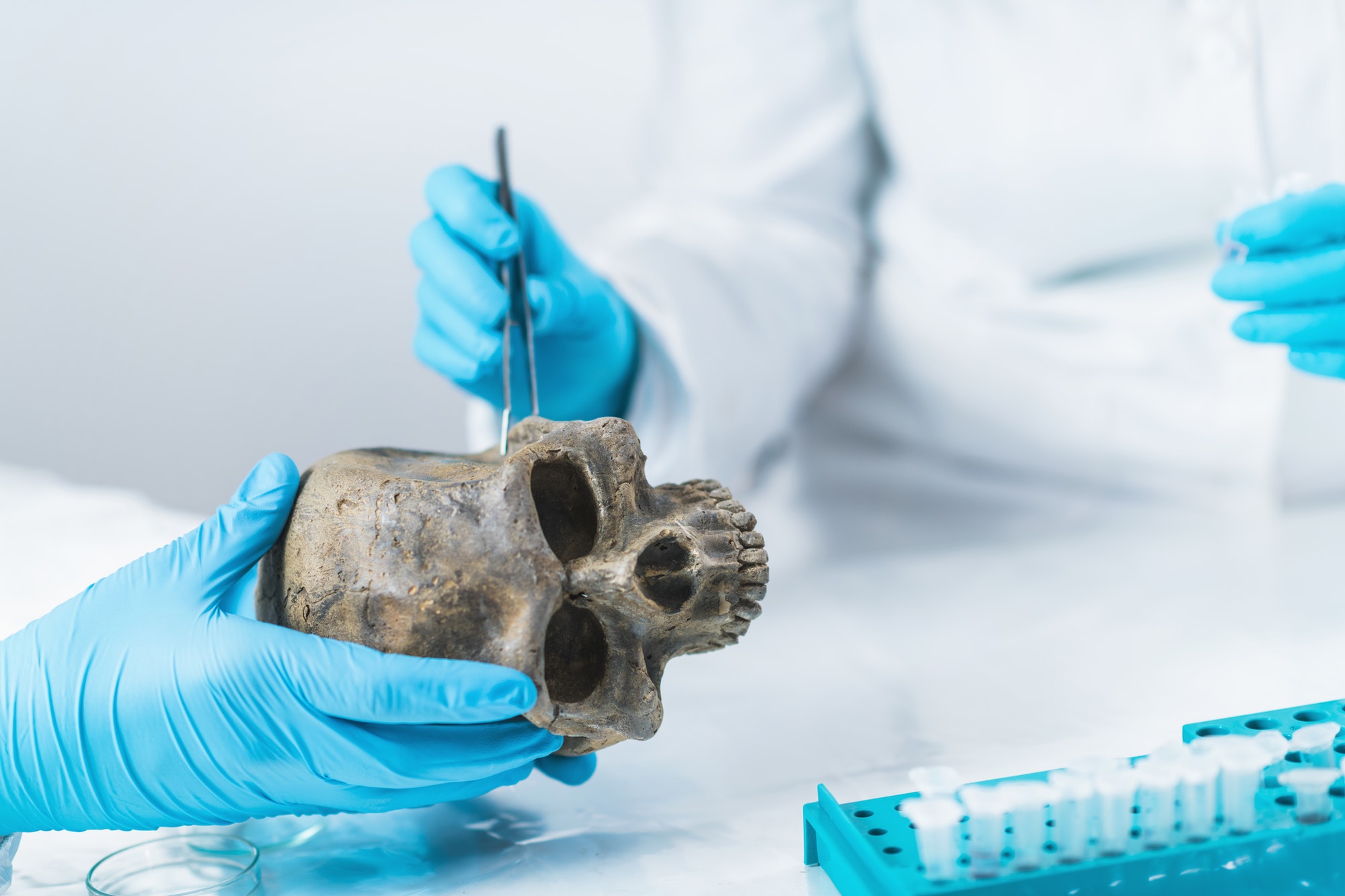 Bioarcheology. Archaeologist Analyzing Ancient Human Osteological Material in Laboratory