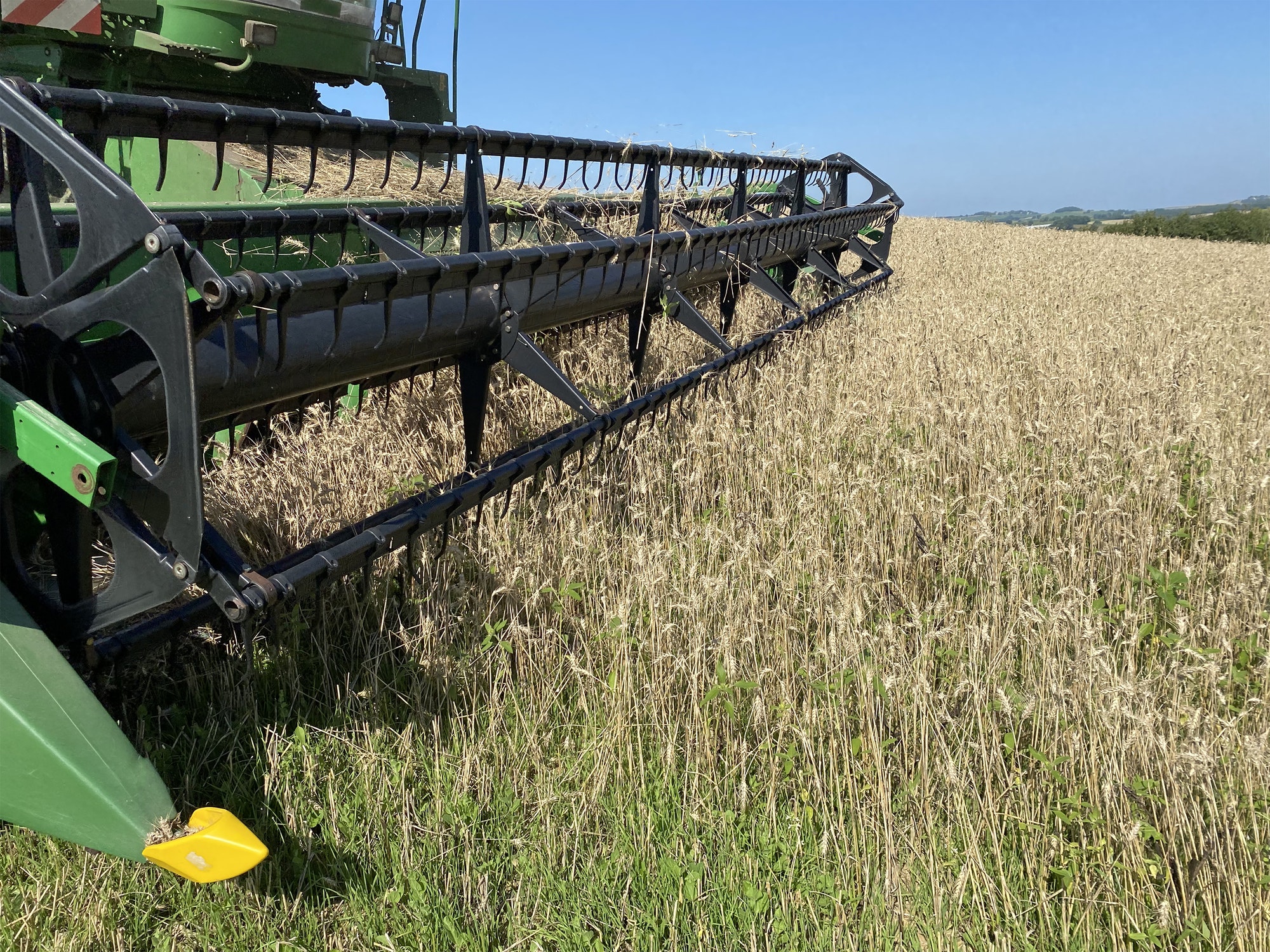 farmer on grain harvester