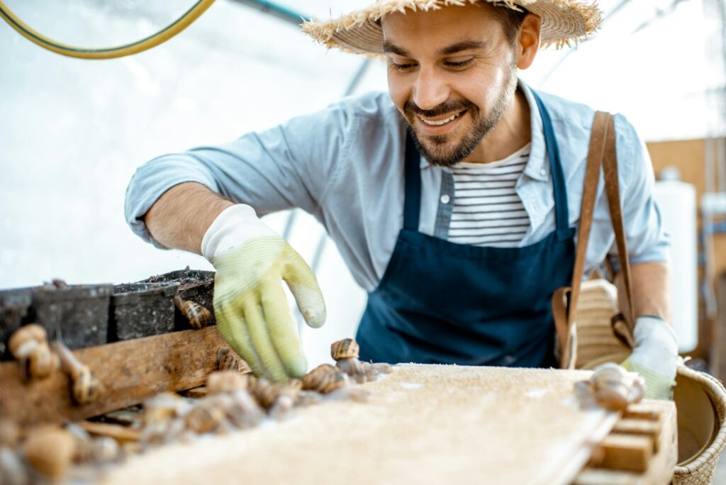 Farmer working on the farm with snails