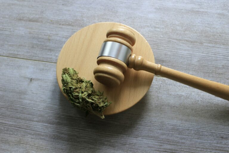 Closeup shot of cannabis on a judge gavel - the concept of marijuana legalization