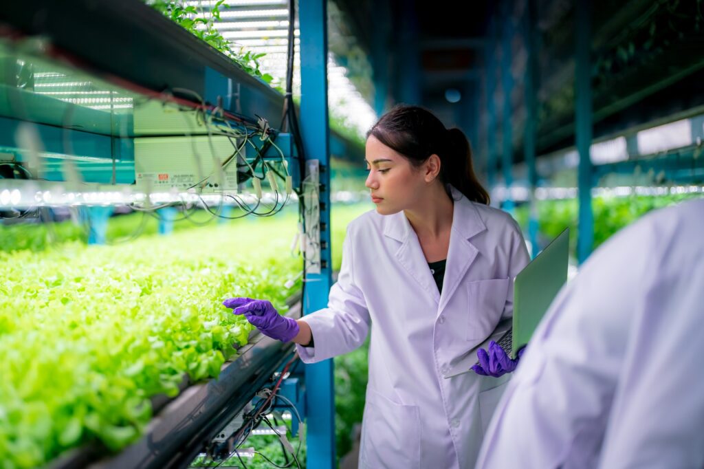 Inside of Greenhouse Hydroponic Vertical Farm Eco system.