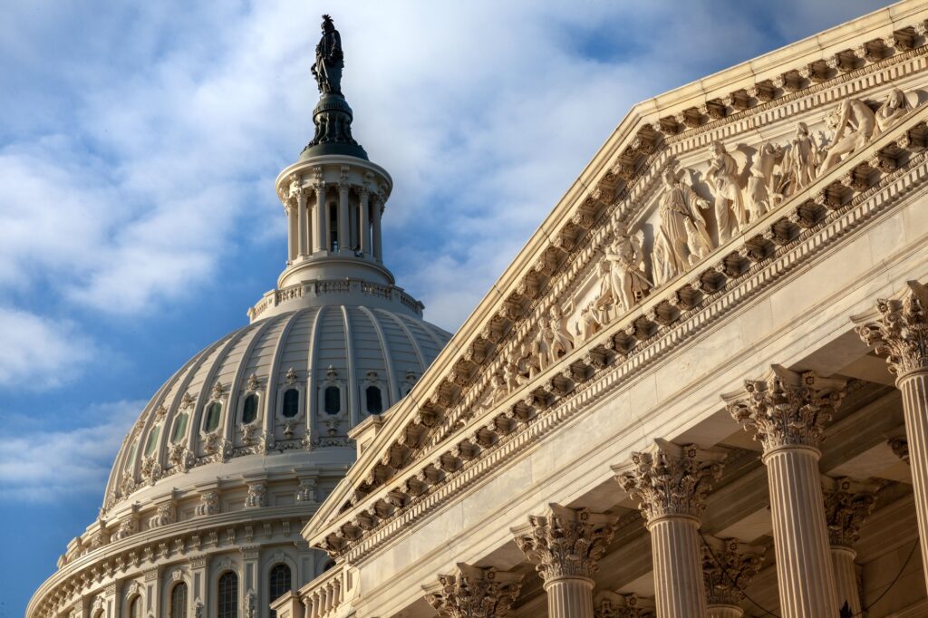 U.S. Capitol closeup of base relief and dome with Liberty statue early morning