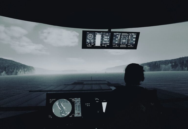 Navigation officer in the maritime vessel's bridge simulator