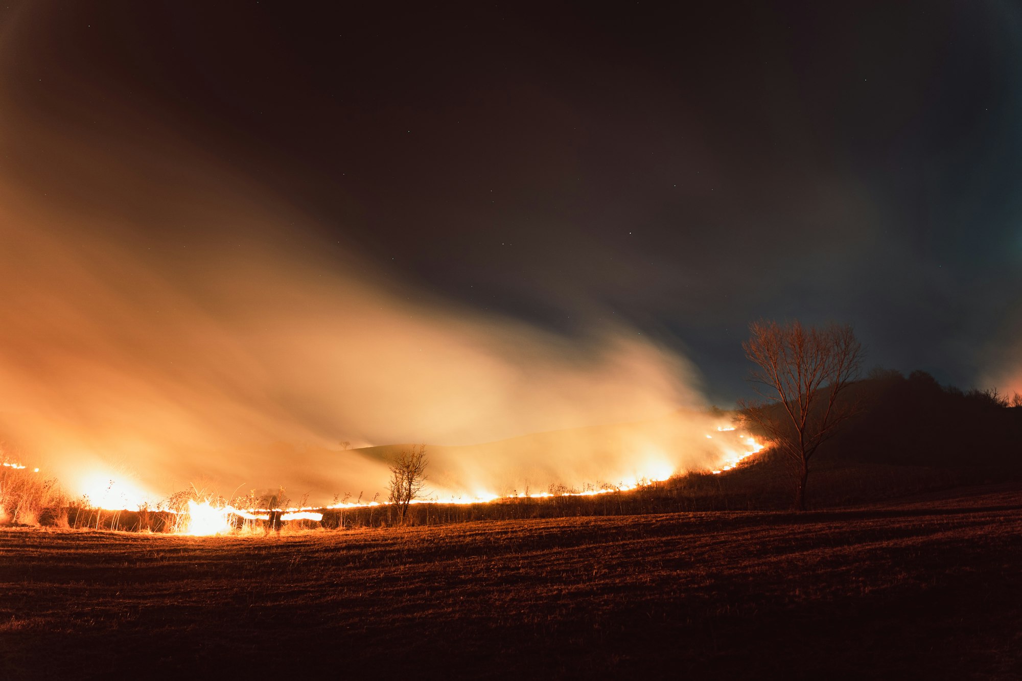 View of wildfire in a field in the evening