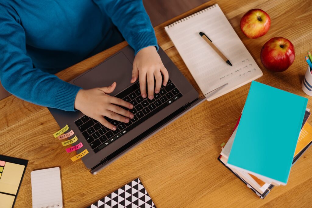 Online learning, boy using laptop