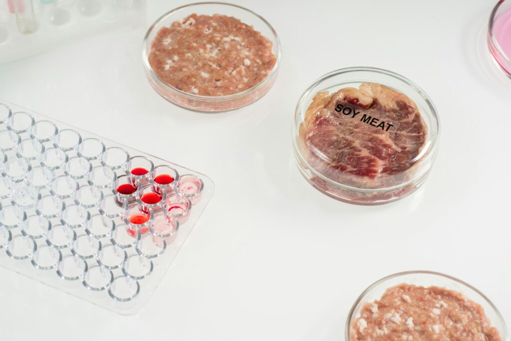 Covered petri dish containing soy meat standing between samples of animal origin