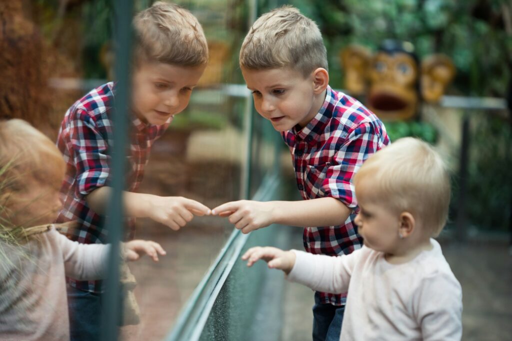 Kids watching reptiles in terrarium through glass