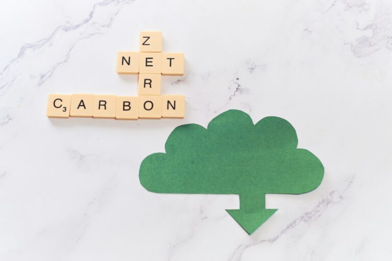 CO2 Net-Zero Emission - Carbon Neutrality