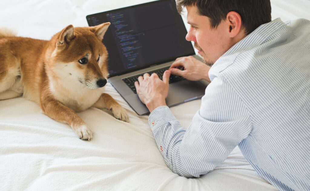 Developer is coding with a emotional support dog