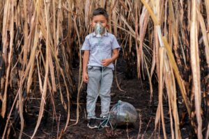 Child breathing oxygen: The impact of a forest fire as seen through the eyes of a child