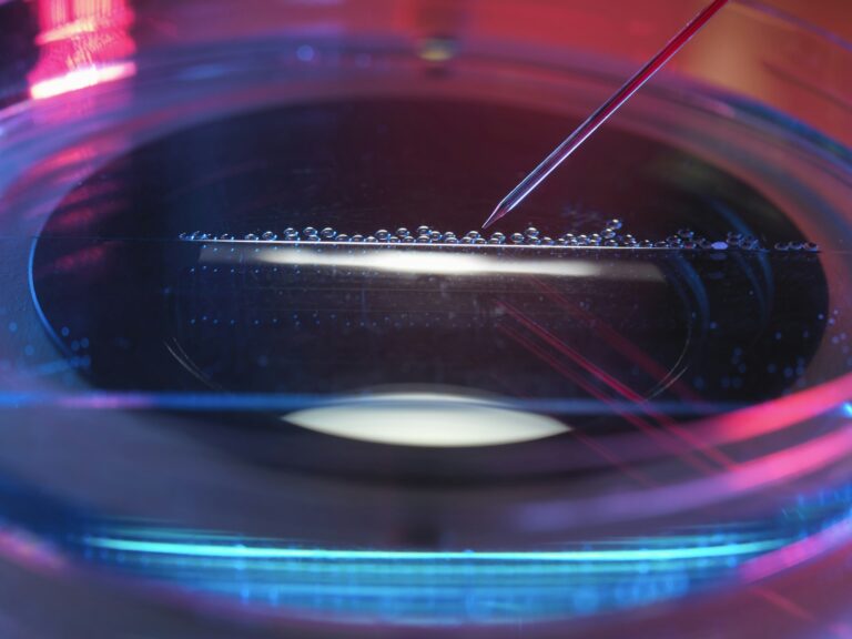 Nuclear transfer, Stem cells made from the cell nucleus