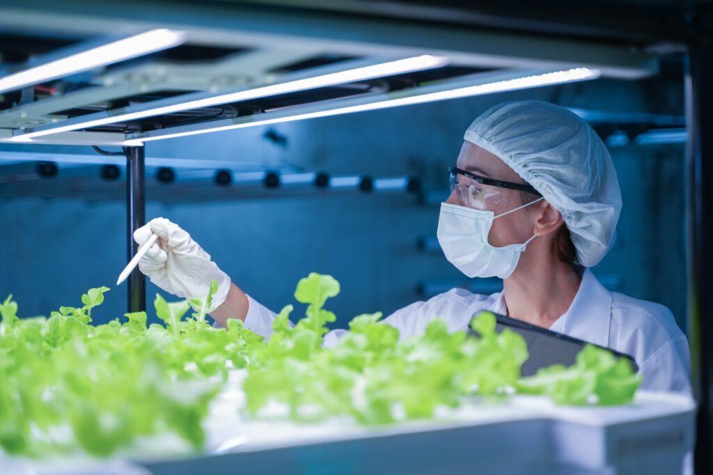 Agricultural researcher working in a greenhouse. Inside of Greenhouse Hydroponic Farm Eco system. Ur