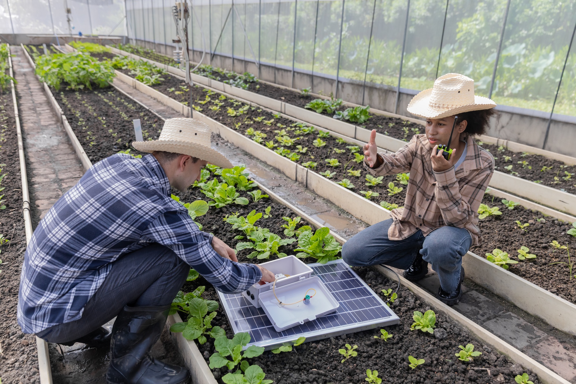 farmer man inspecting a solar panel device for greenhouse for cultivation of vegetable food.