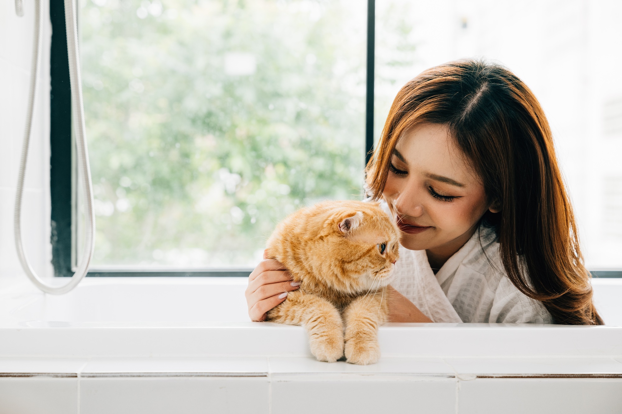in the bathroom's soothing atmosphere, a woman and her scottish fold cat share a bath, a beautiful