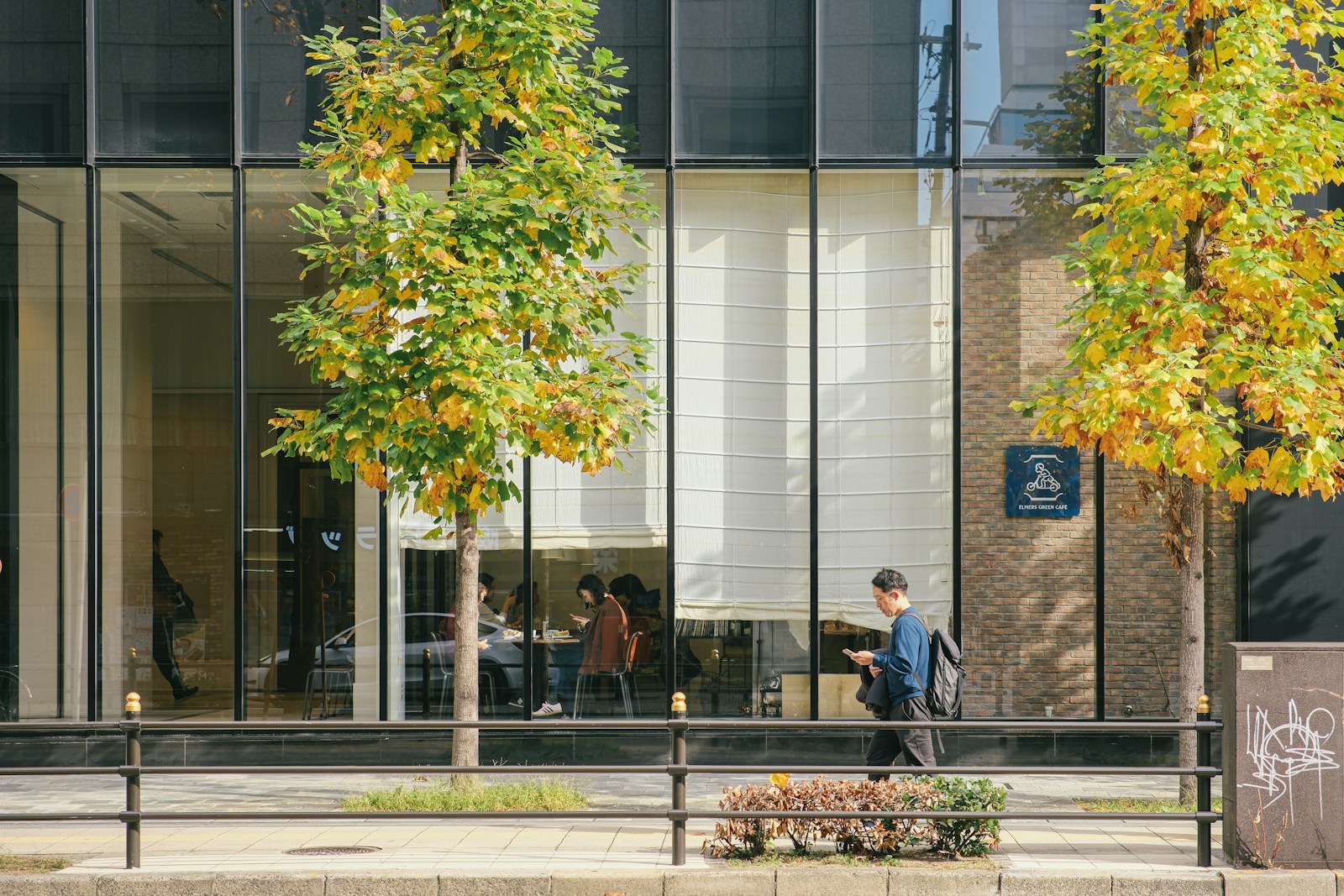 Man walks past trees in front of modern building