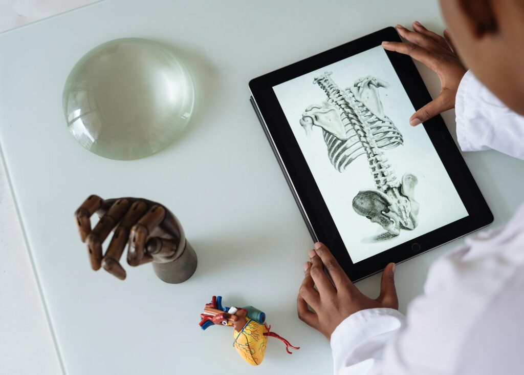 Google’s New AI Is Now Your Health Advisor And That Should Worry You Hands examining a digital anatomy illustration on a tablet alongside anatomical models on a table.