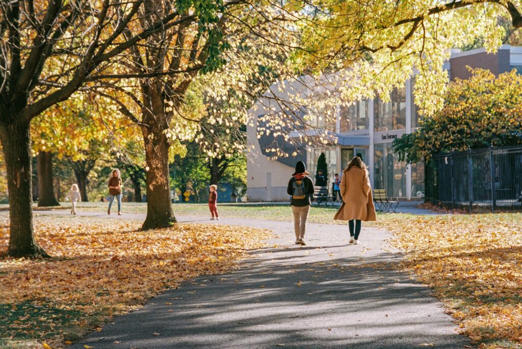 A couple of people walking down a leaf covered road