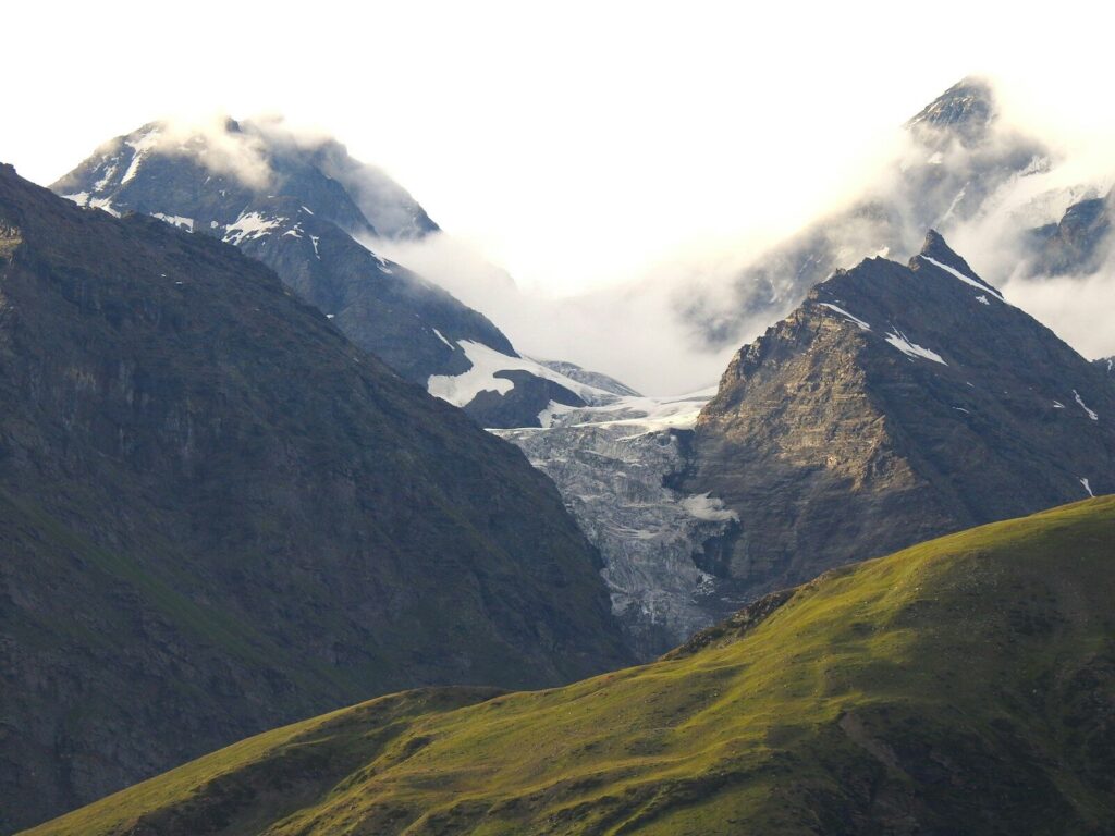 A herd of sheep standing on top of a lush green hillside