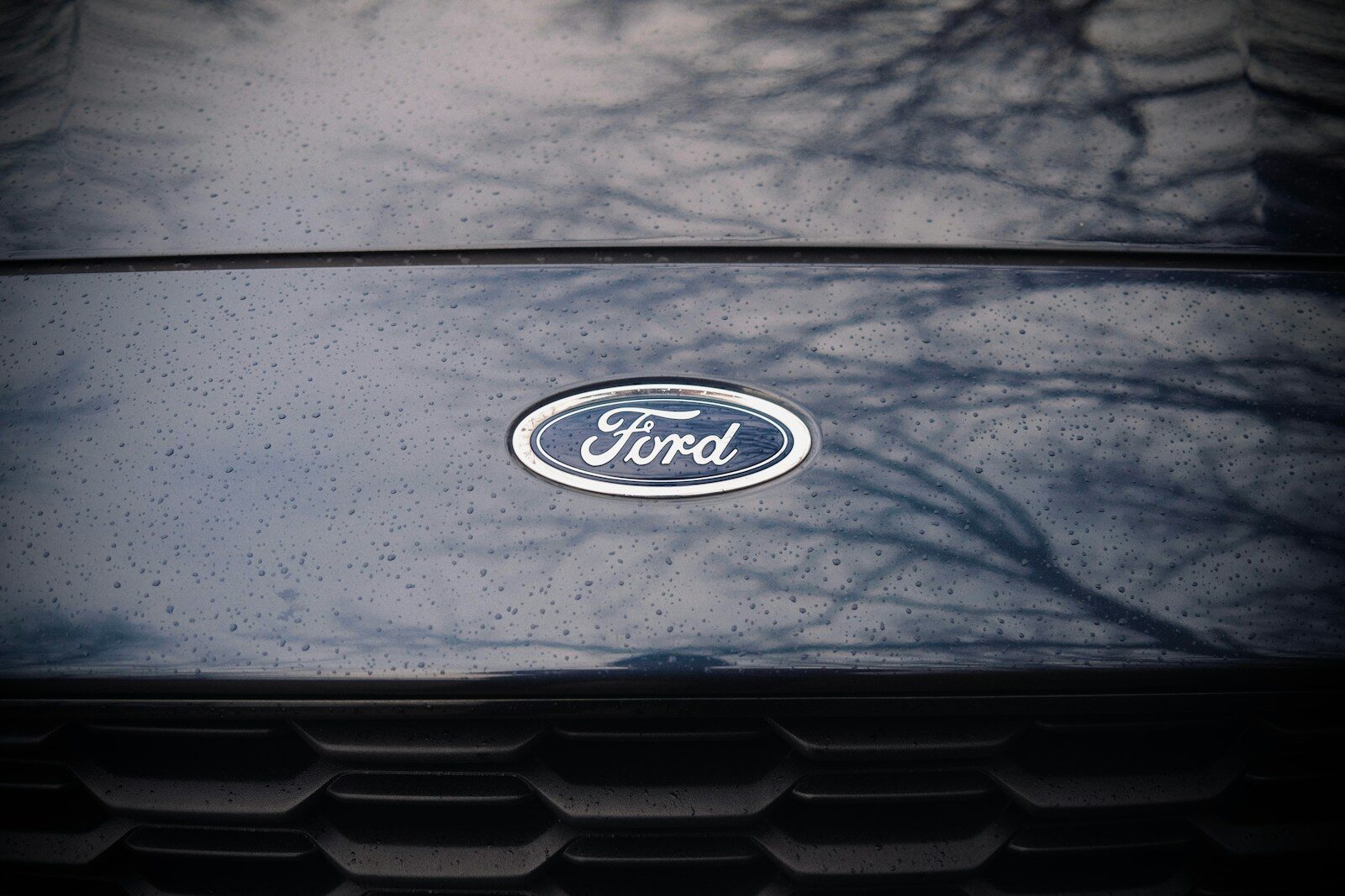 a close up of a ford emblem on a car