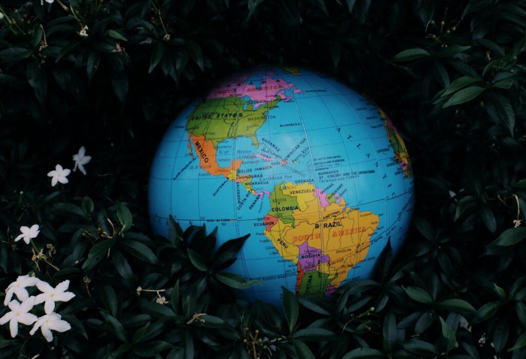 Google DeepMind’s “AI for the Planet” Accelerator Signals New Era a blue and yellow globe surrounded by leaves and flowers